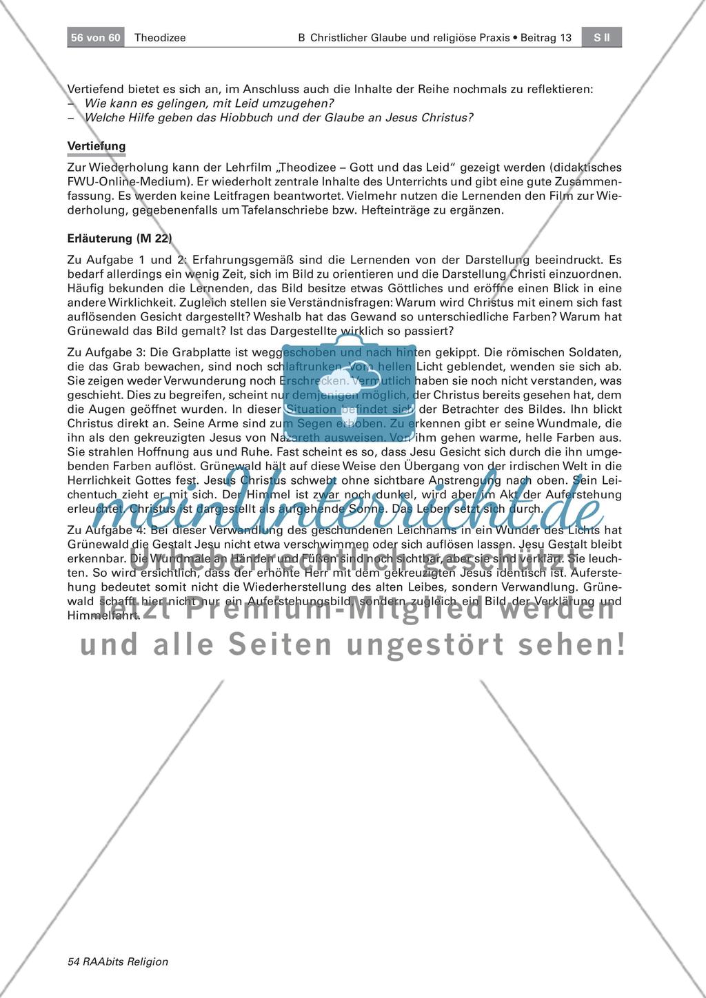 Theodizee: Umgang mit Leid Preview 13