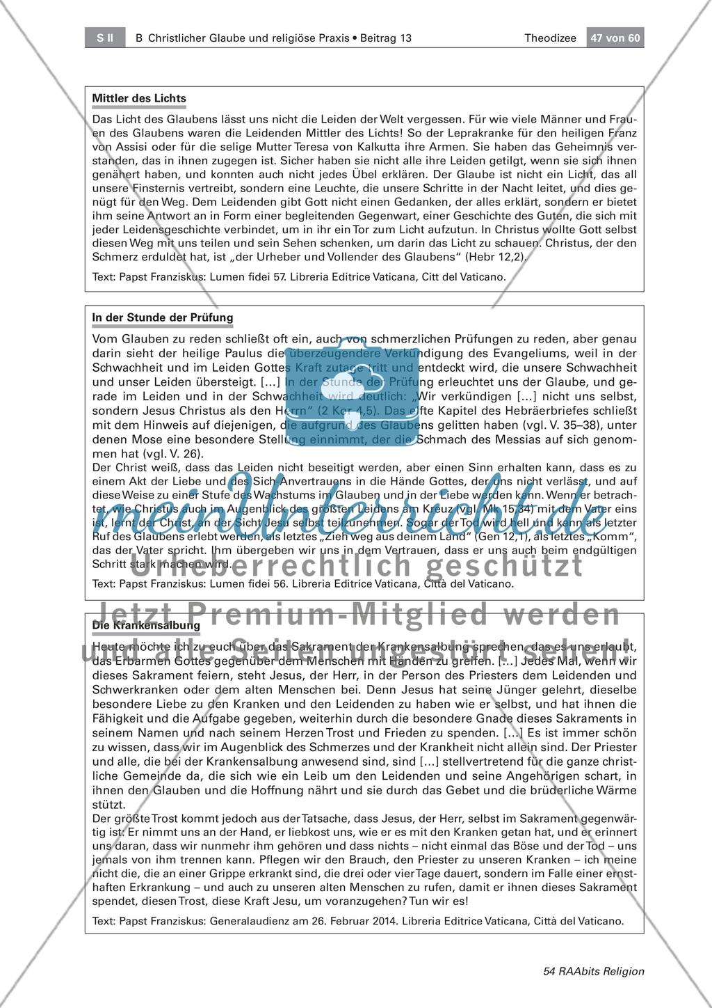 Theodizee: Umgang mit Leid Preview 4
