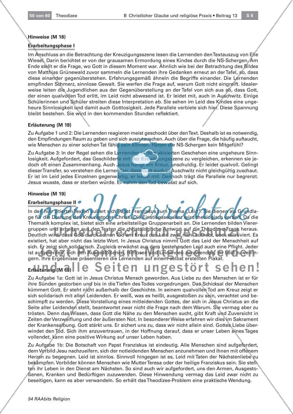 Theodizee: Umgang mit Leid Preview 7