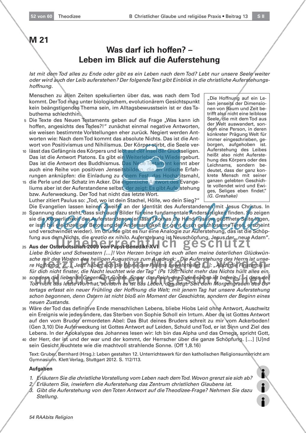 Theodizee: Umgang mit Leid Preview 9