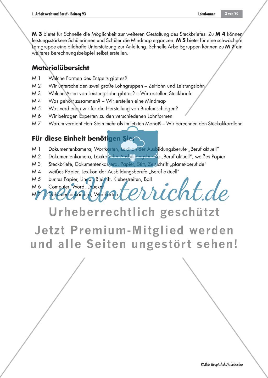 Unterschiedliche Lohnformen im Vergleich Preview 3