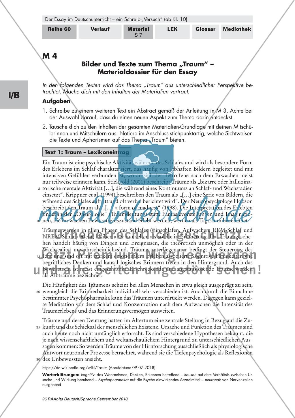 Entstehung und Charakterisierung des Essays Preview 6