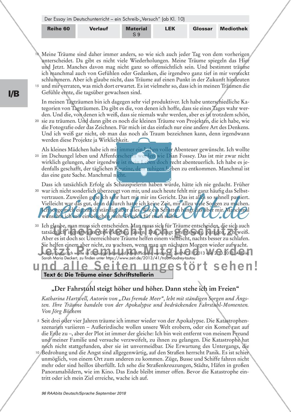 Entstehung und Charakterisierung des Essays Preview 8