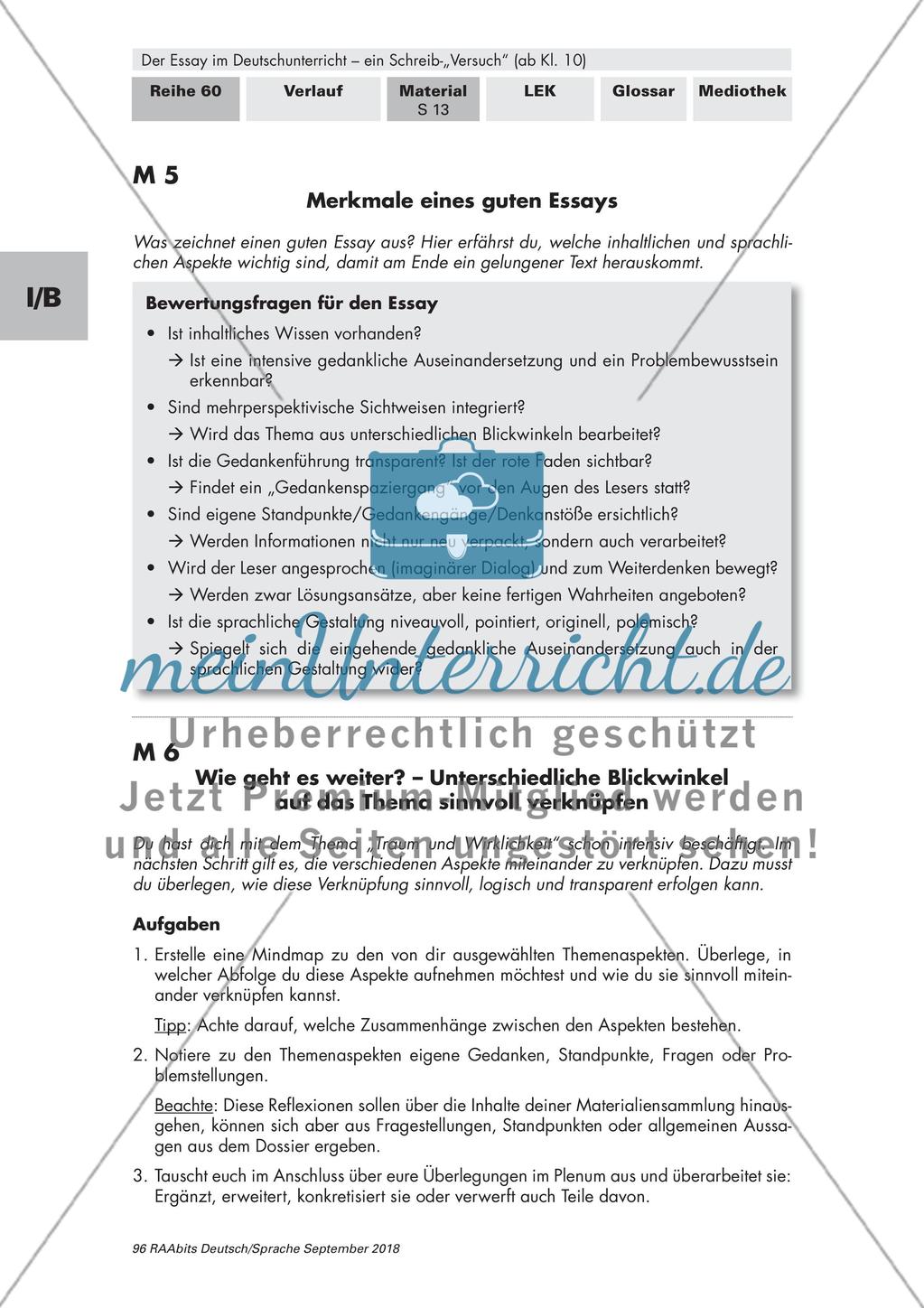 Skizzenhafter Entwurf eines Essays Preview 1