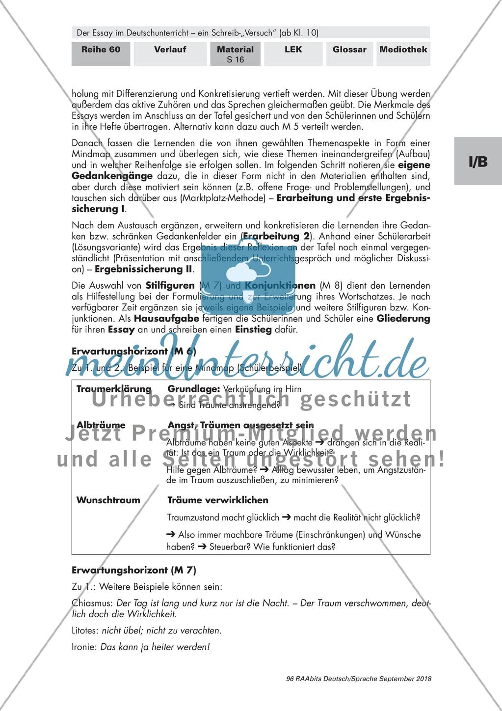 Skizzenhafter Entwurf eines Essays Preview 4