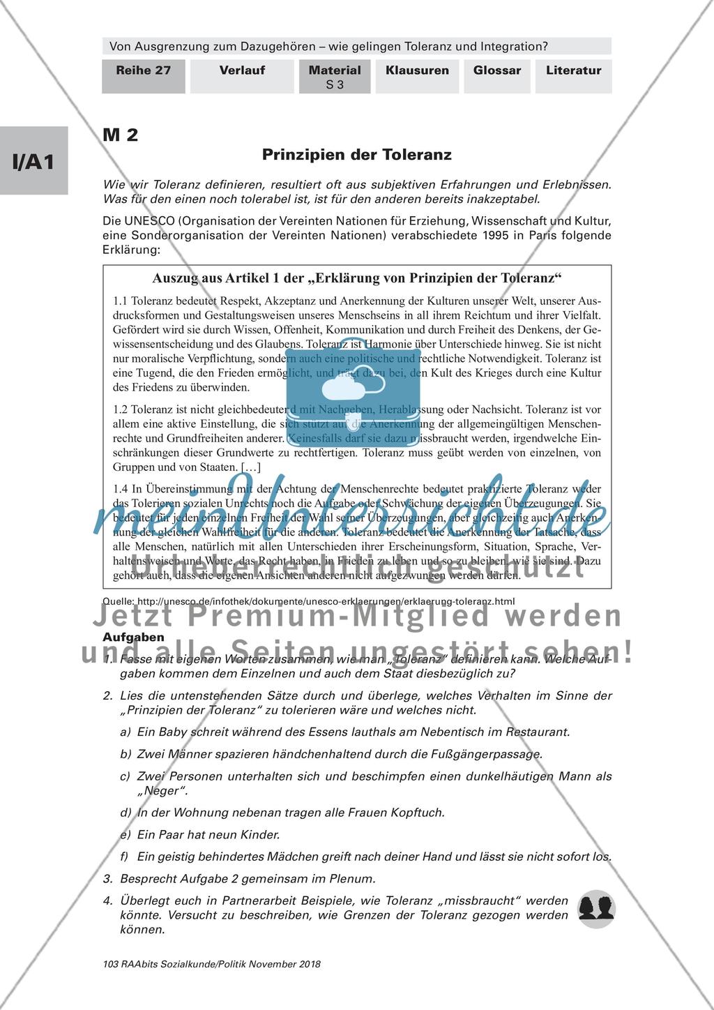 Toleranz und Integration: Begriffsklärung, Gruppenkonflikte Preview 2