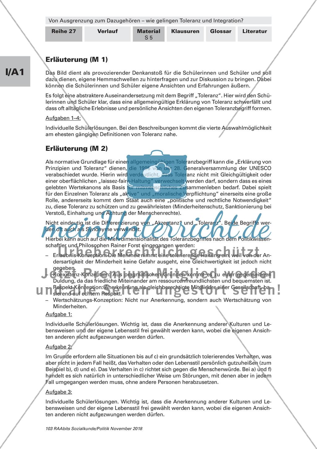 Toleranz und Integration: Begriffsklärung, Gruppenkonflikte Preview 4