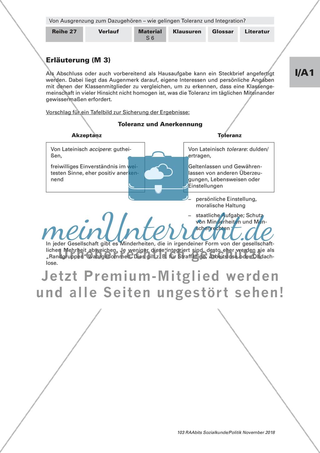 Toleranz und Integration: Begriffsklärung, Gruppenkonflikte Preview 5
