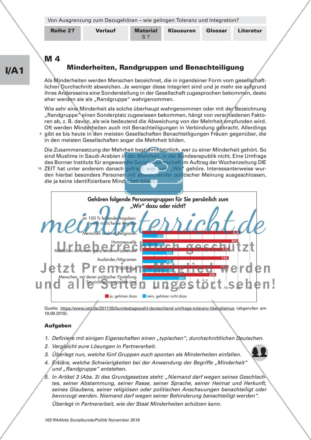 Toleranz und Integration: Begriffsklärung, Gruppenkonflikte Preview 6