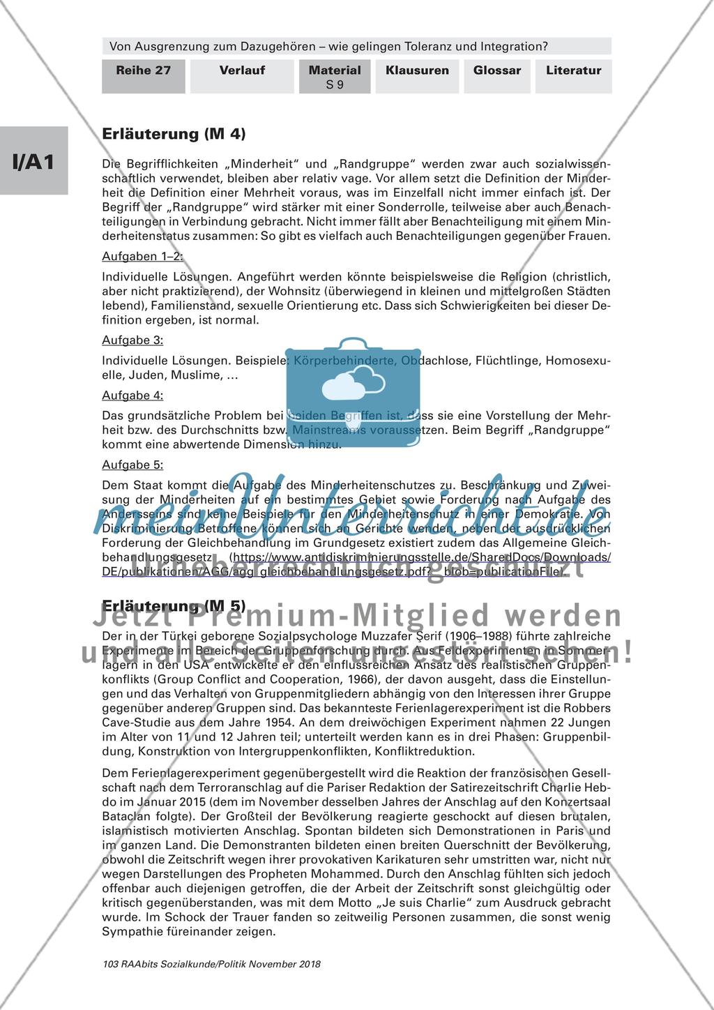 Toleranz und Integration: Begriffsklärung, Gruppenkonflikte Preview 8