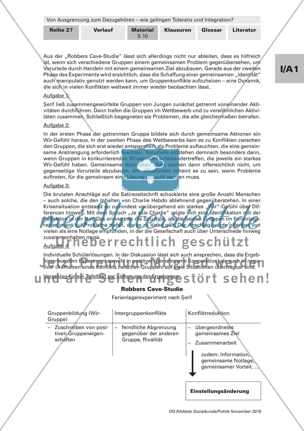 Toleranz und Integration: Begriffsklärung, Gruppenkonflikte Preview 9