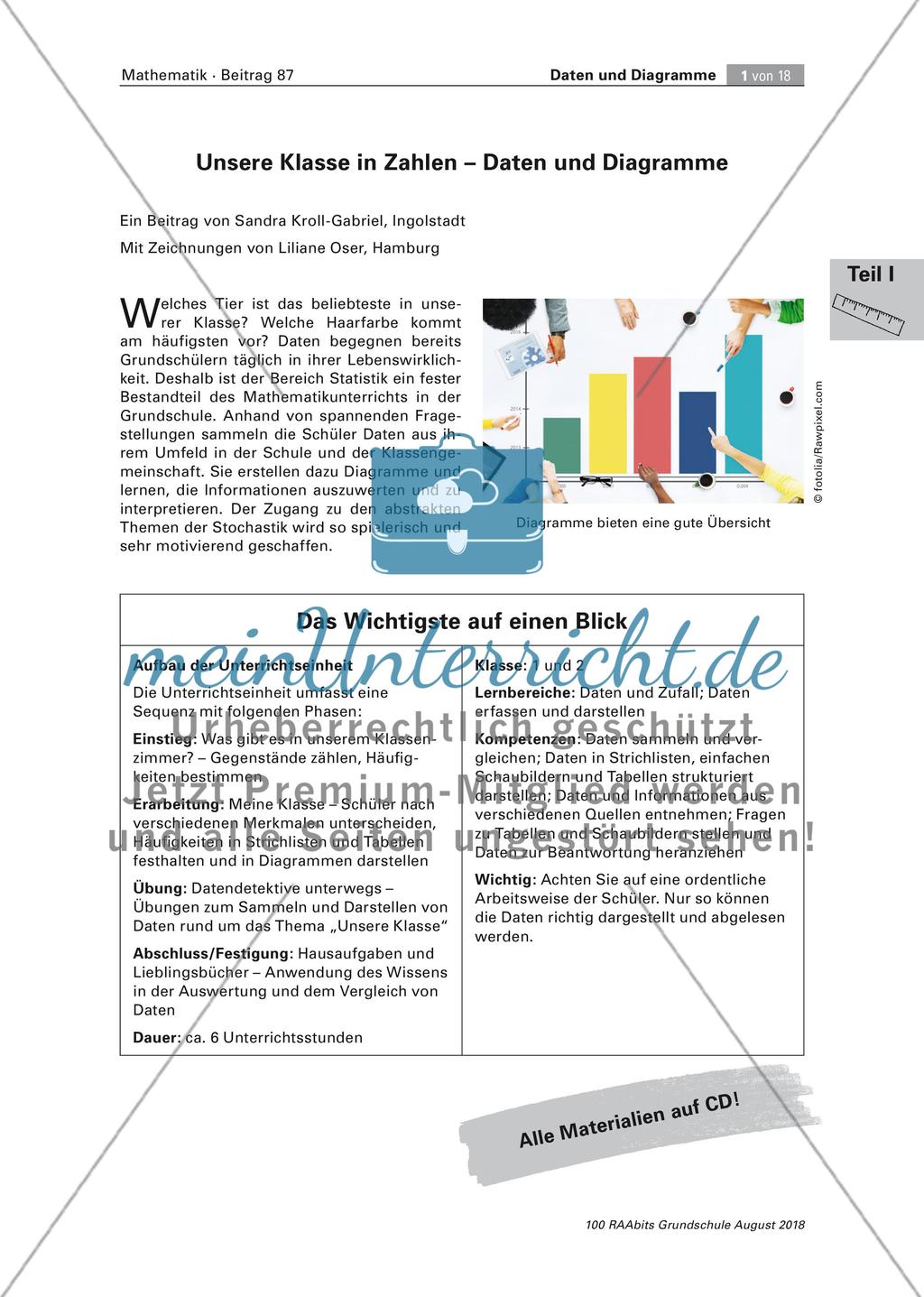 Unsere Klasse in Zahlen: Daten und Diagramme Preview 1