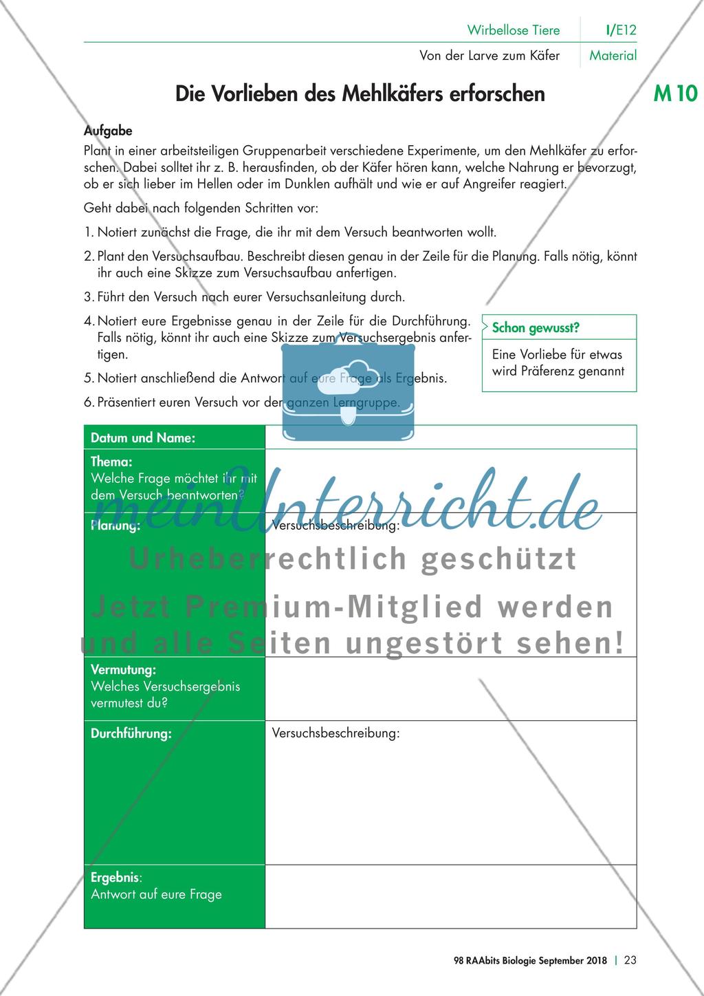 Experimente mit dem Mehlkäfer Preview 3