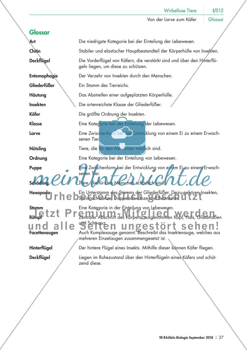Experimente mit dem Mehlkäfer Preview 7