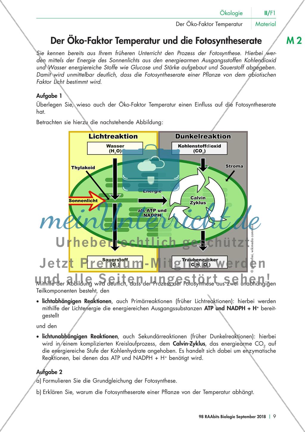 Der abiotischer Faktor Temperatur Preview 2