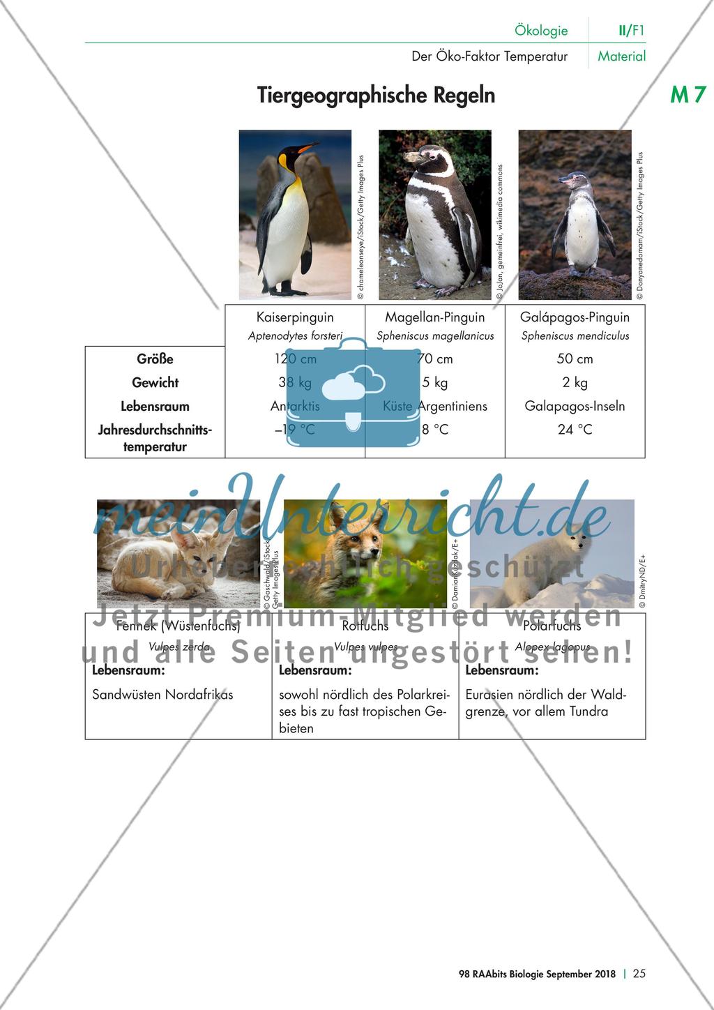 Tiergeographische Regeln Preview 1