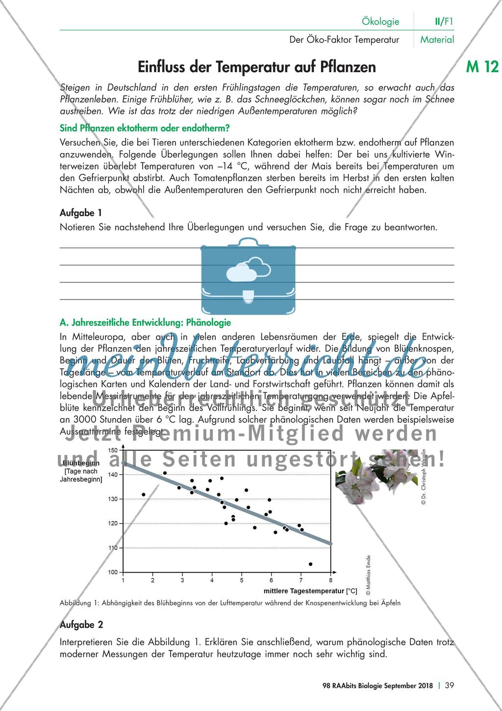 Der Einfluss der Temperatur auf Pflanzen Preview 1