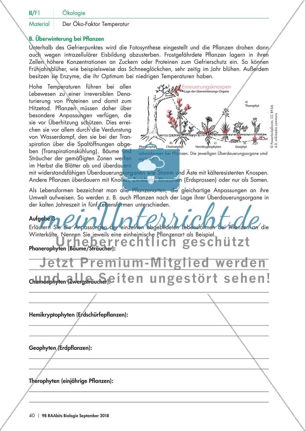 Der Einfluss der Temperatur auf Pflanzen Preview 2