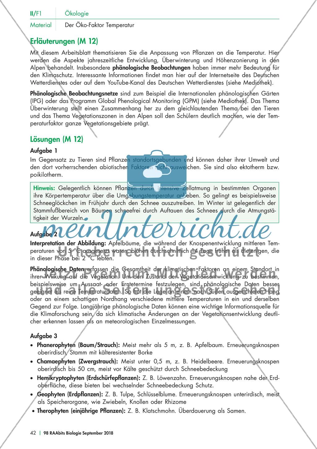 Der Einfluss der Temperatur auf Pflanzen Preview 4