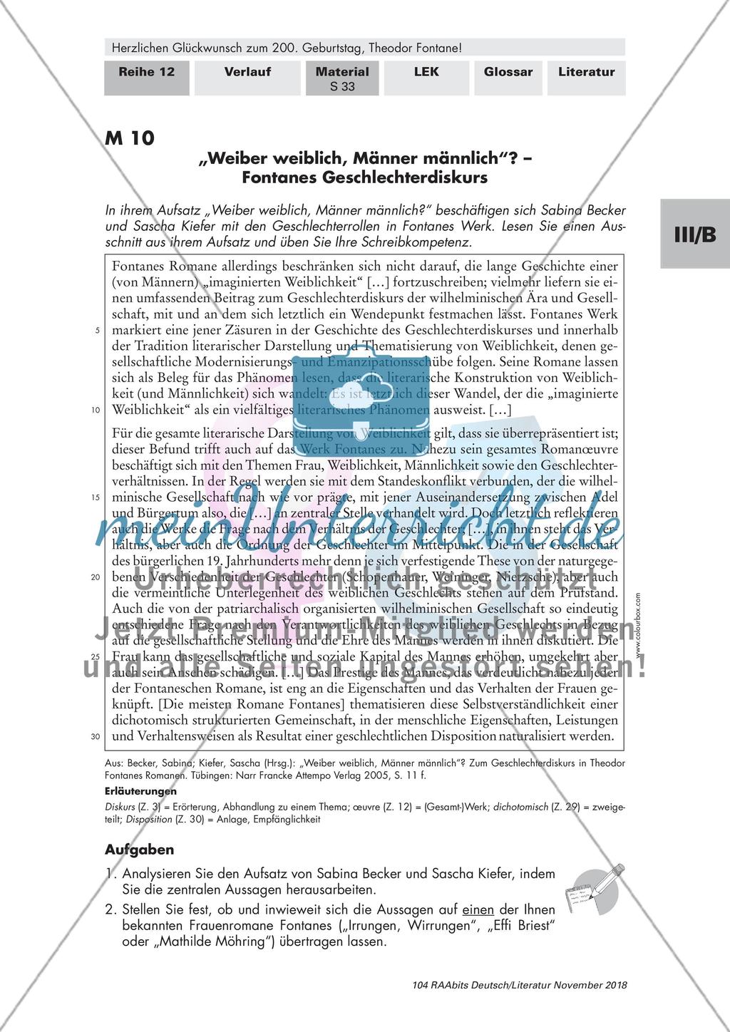 Theodor Fontane's 200. Geburtstag: Ergebnissicherung Preview 5