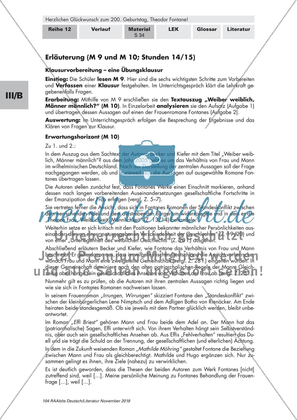 Theodor Fontane's 200. Geburtstag: Ergebnissicherung Preview 6