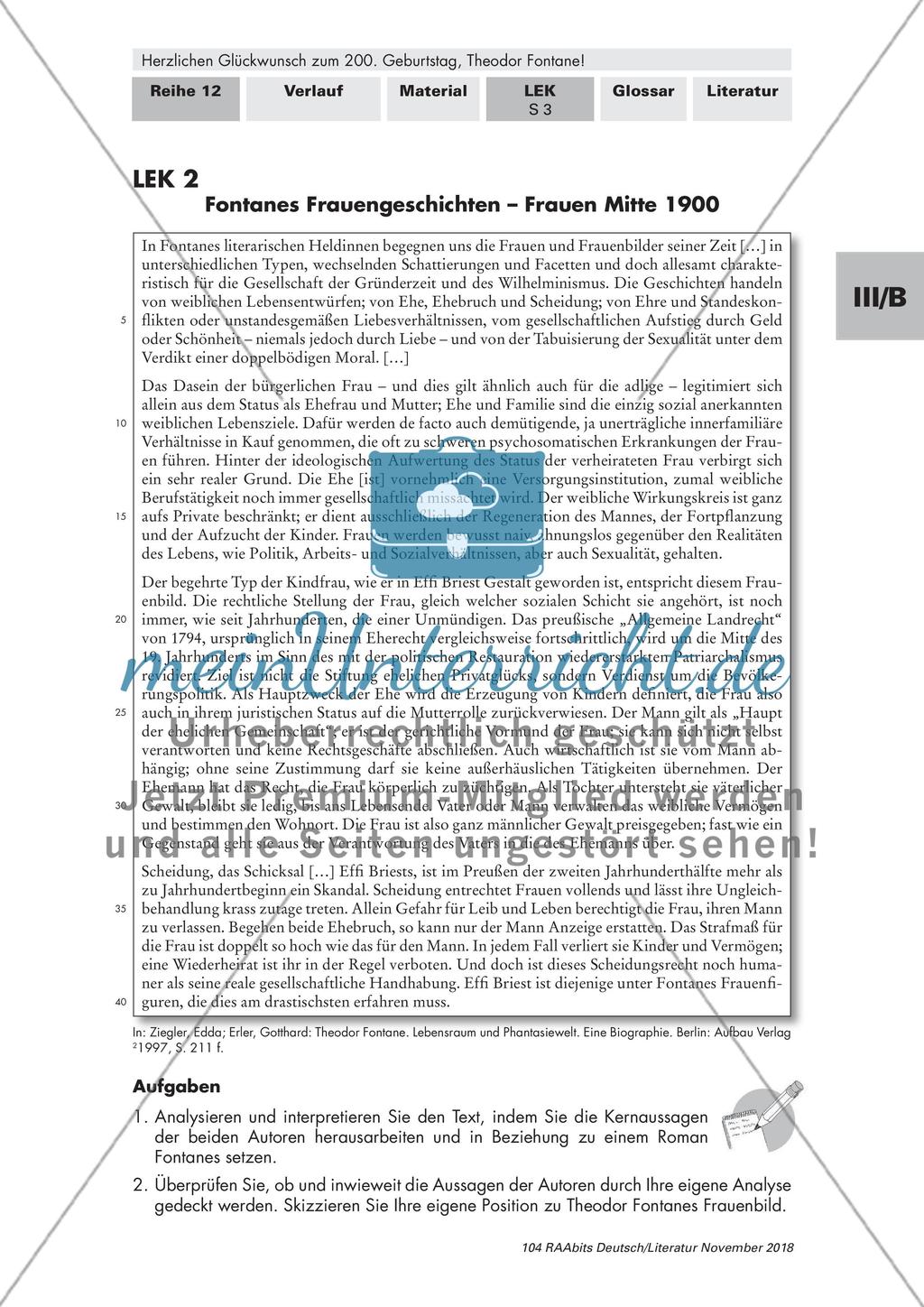 Theodor Fontane's 200. Geburtstag: Ergebnissicherung Preview 9