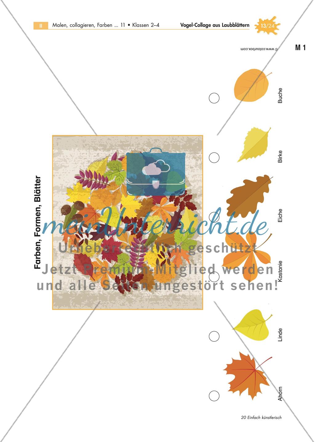 Vogel-Collage aus gepressten Laubblättern Preview 13