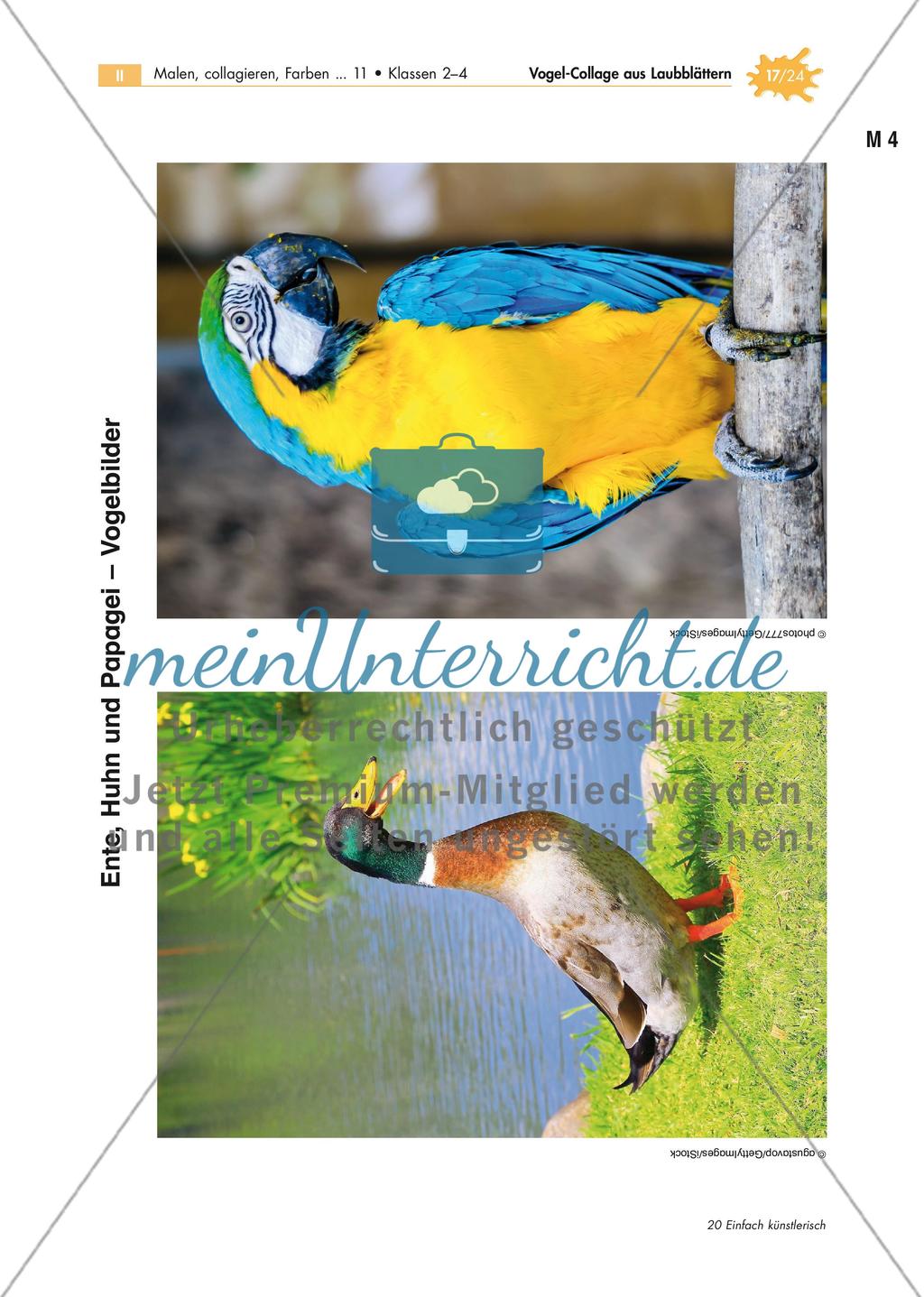 Vogel-Collage aus gepressten Laubblättern Preview 17