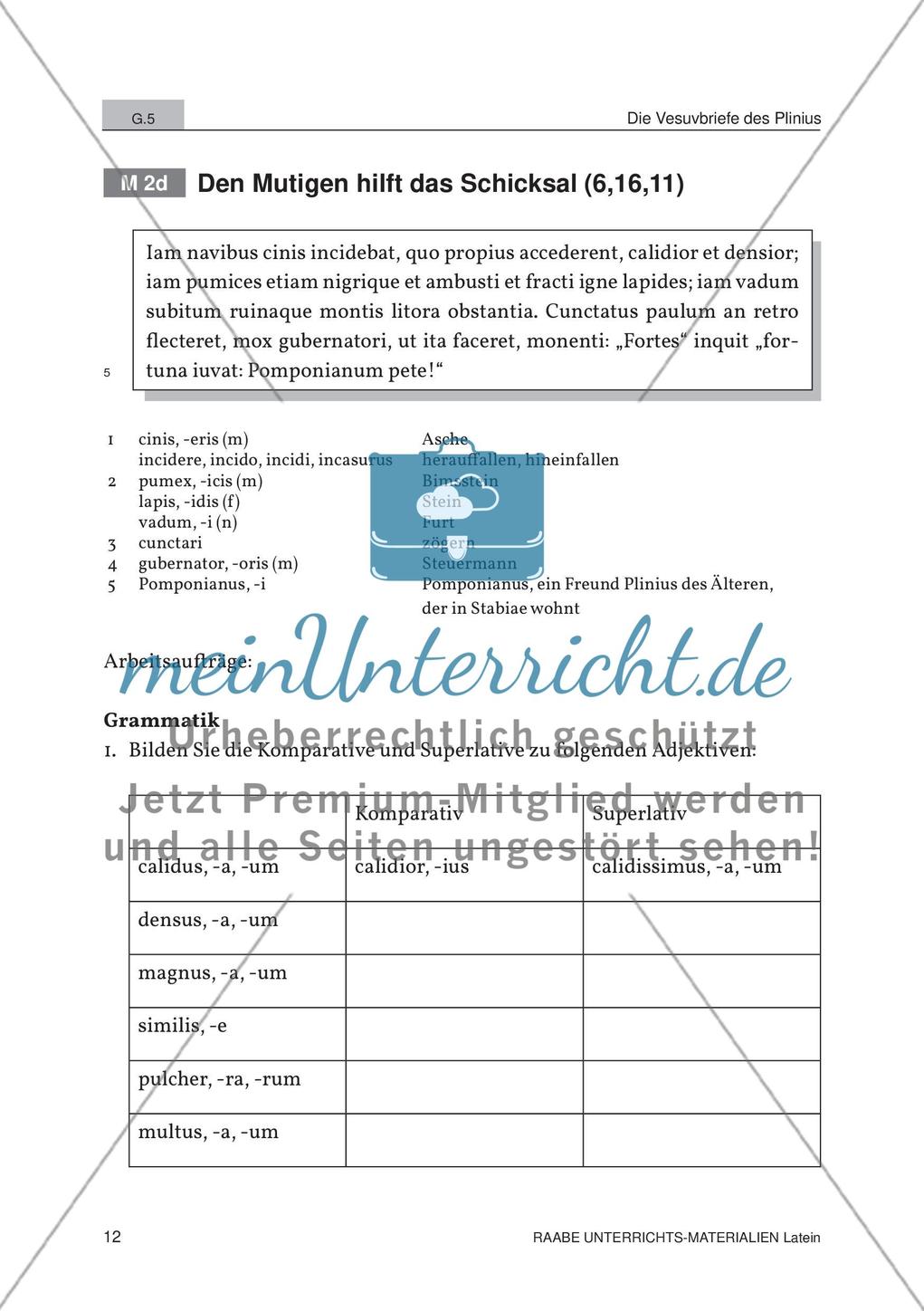 Der Ausbruch des Vesuvs Preview 10