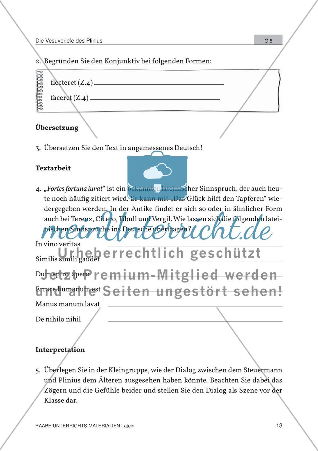 Der Ausbruch des Vesuvs Preview 11