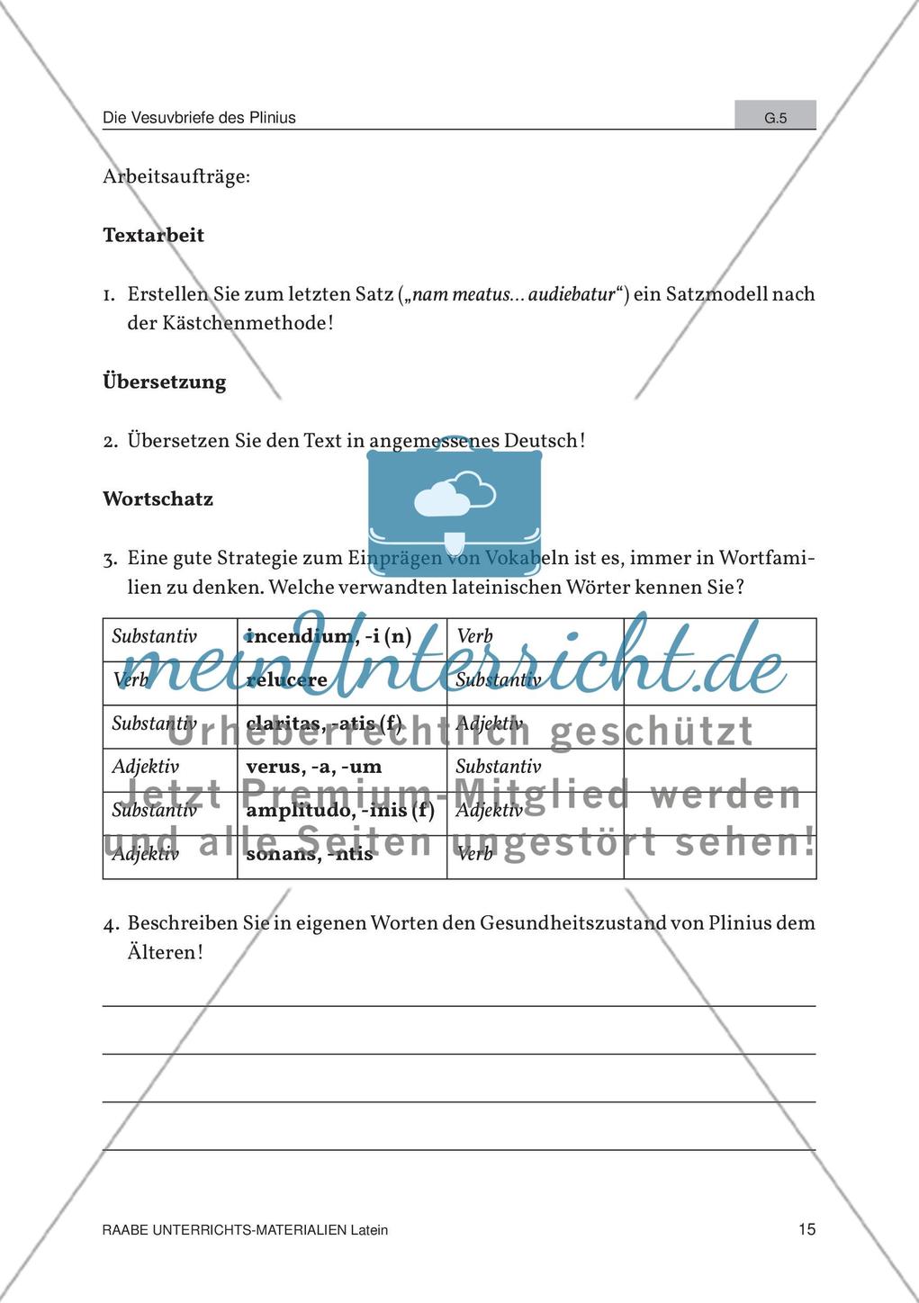 Der Ausbruch des Vesuvs Preview 13