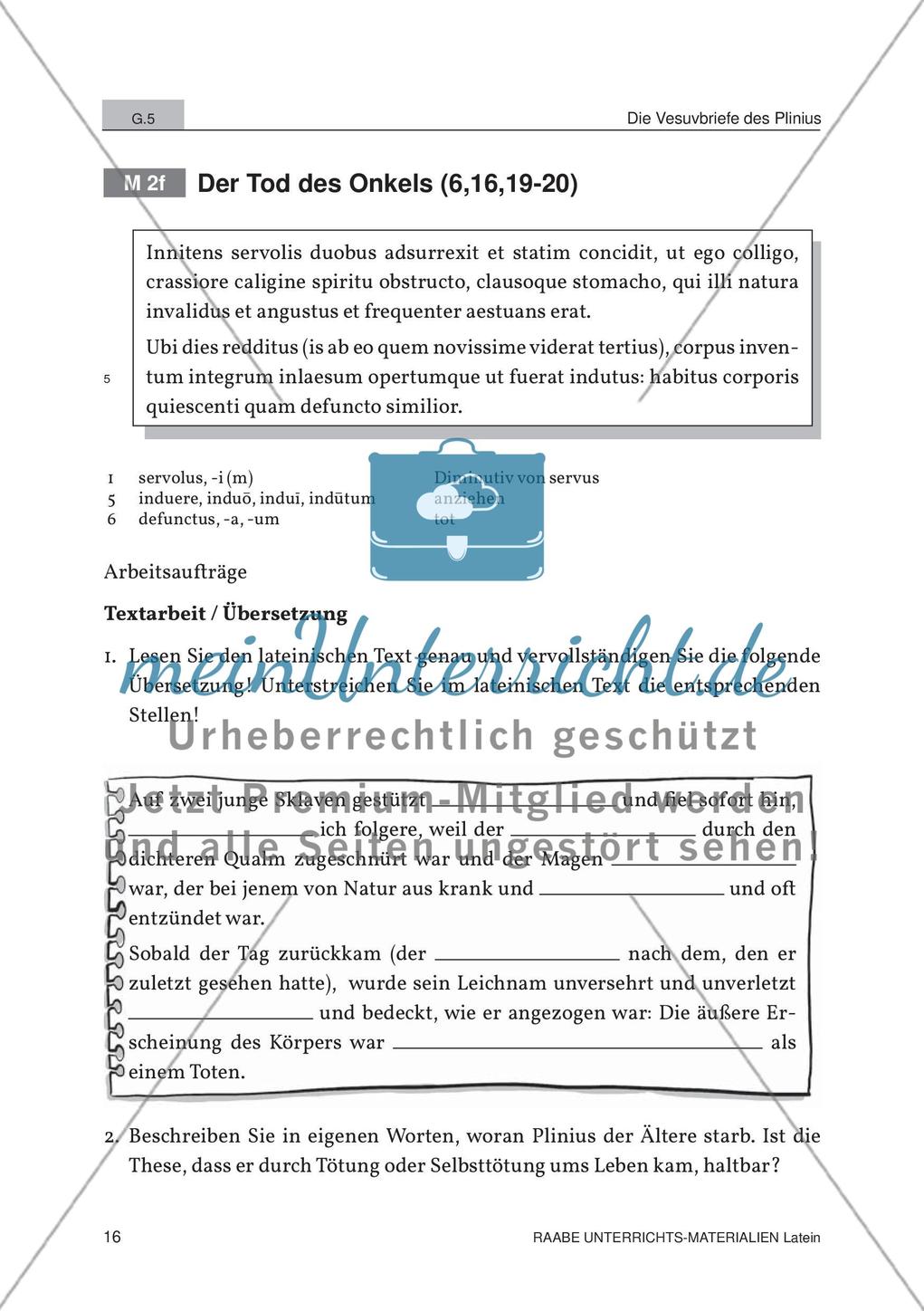 Der Ausbruch des Vesuvs Preview 14