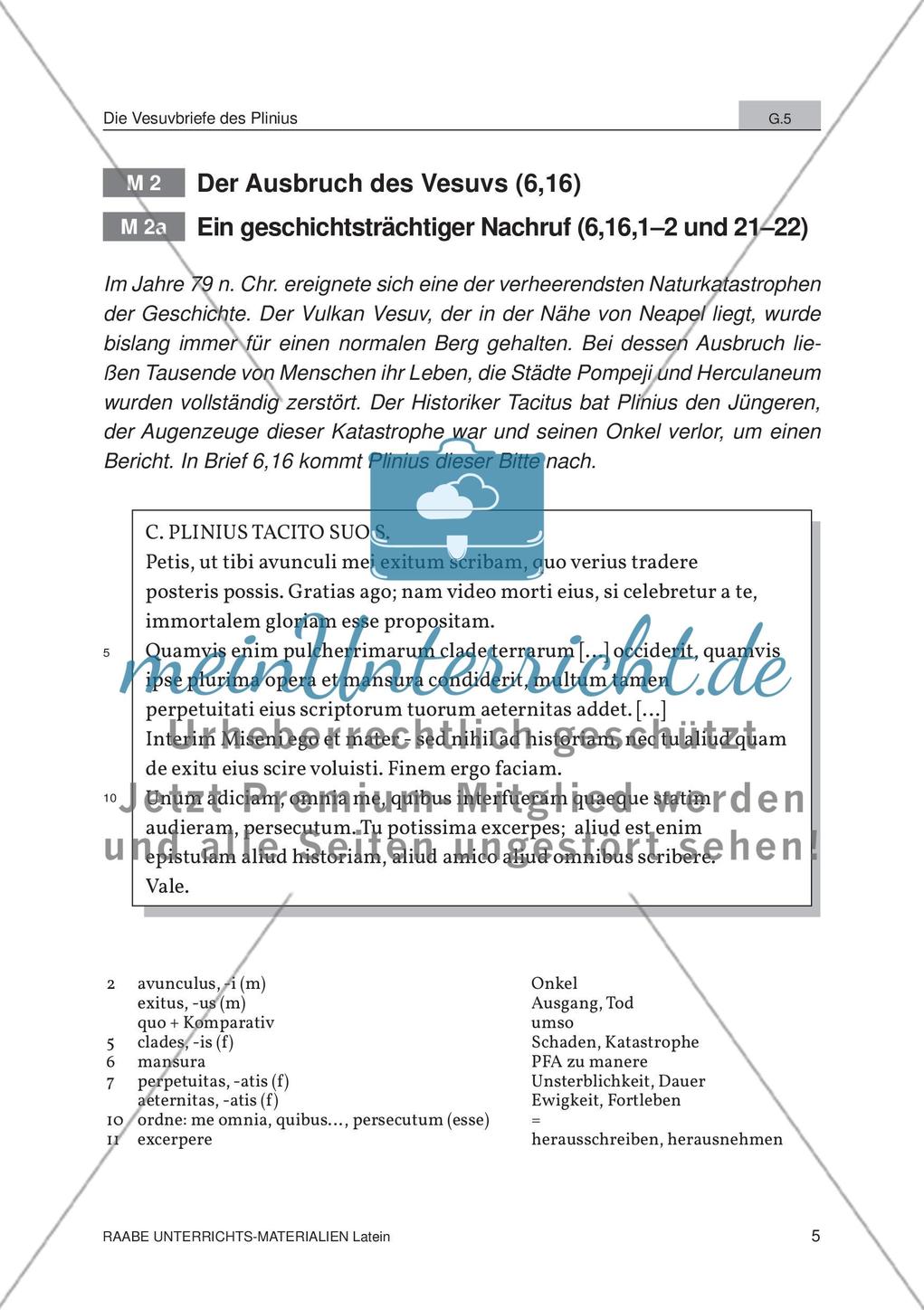 Der Ausbruch des Vesuvs Preview 3