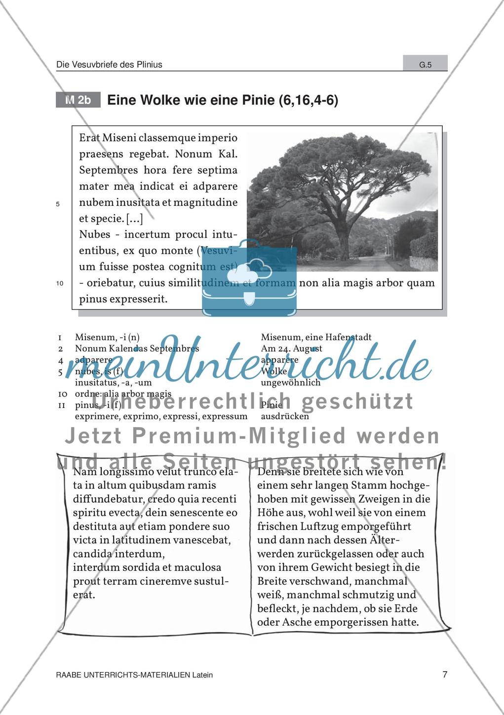 Der Ausbruch des Vesuvs Preview 5