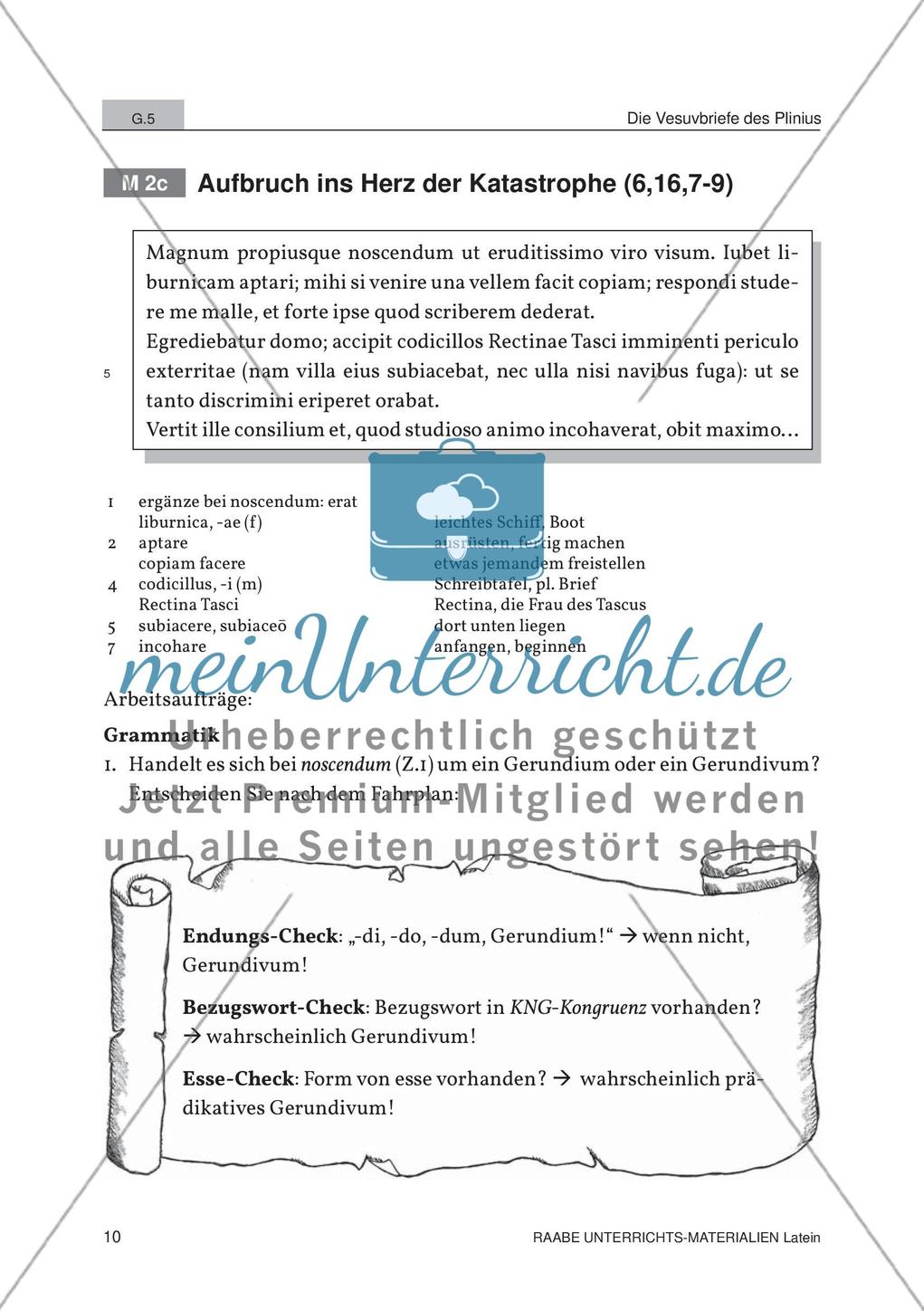 Der Ausbruch des Vesuvs Preview 8