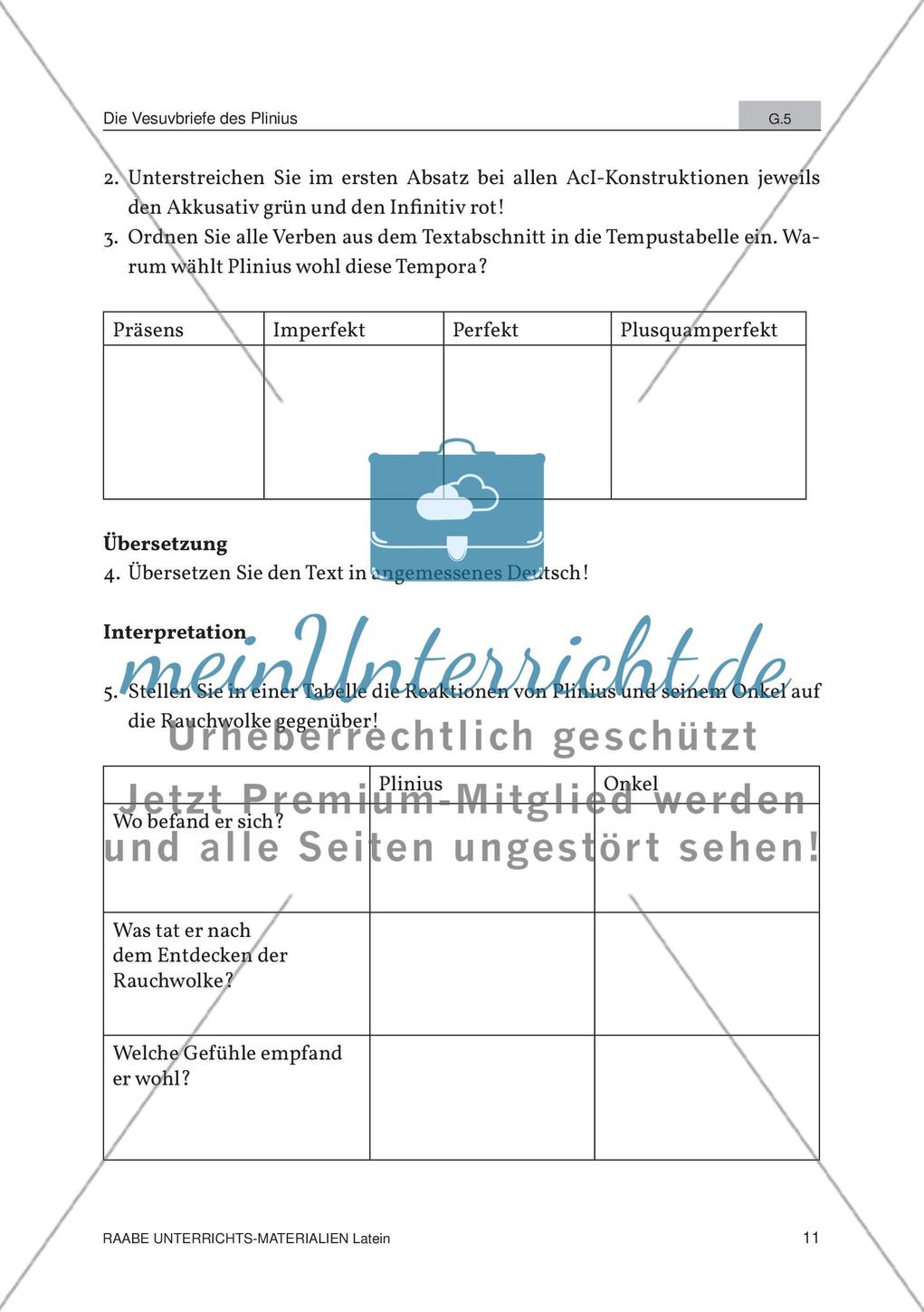 Der Ausbruch des Vesuvs Preview 9