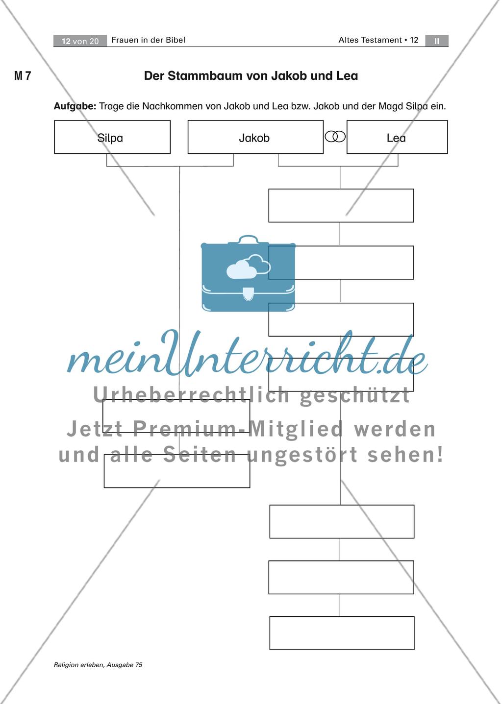 Altes Testament: Frauen in der Bibel Preview 12