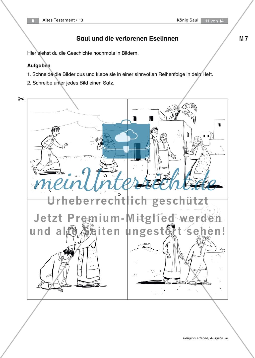 König Saul: Königtum und Herrschaft Preview 11