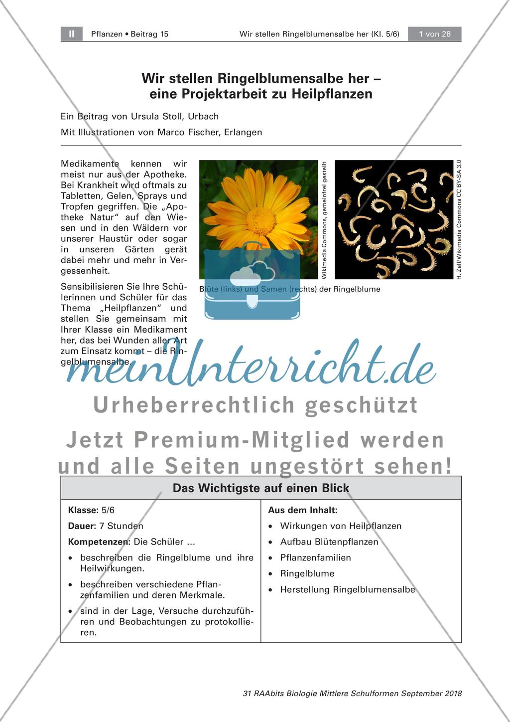 Einführung Preview 1