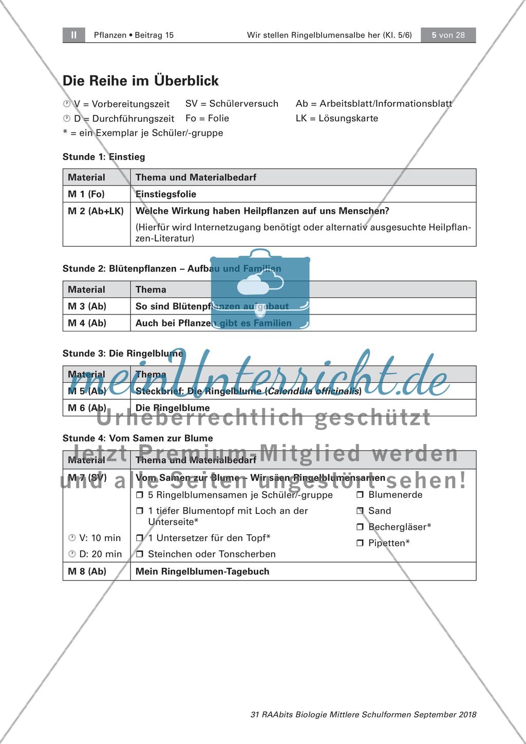 Einführung Preview 5