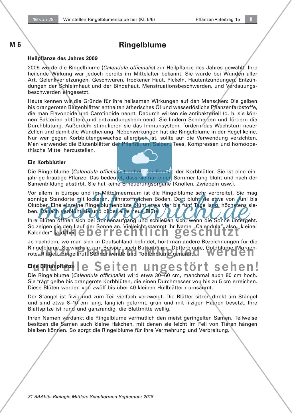 Heilpflanzen: Aufbau von Blütenpflanzen, Ringelblume Preview 10