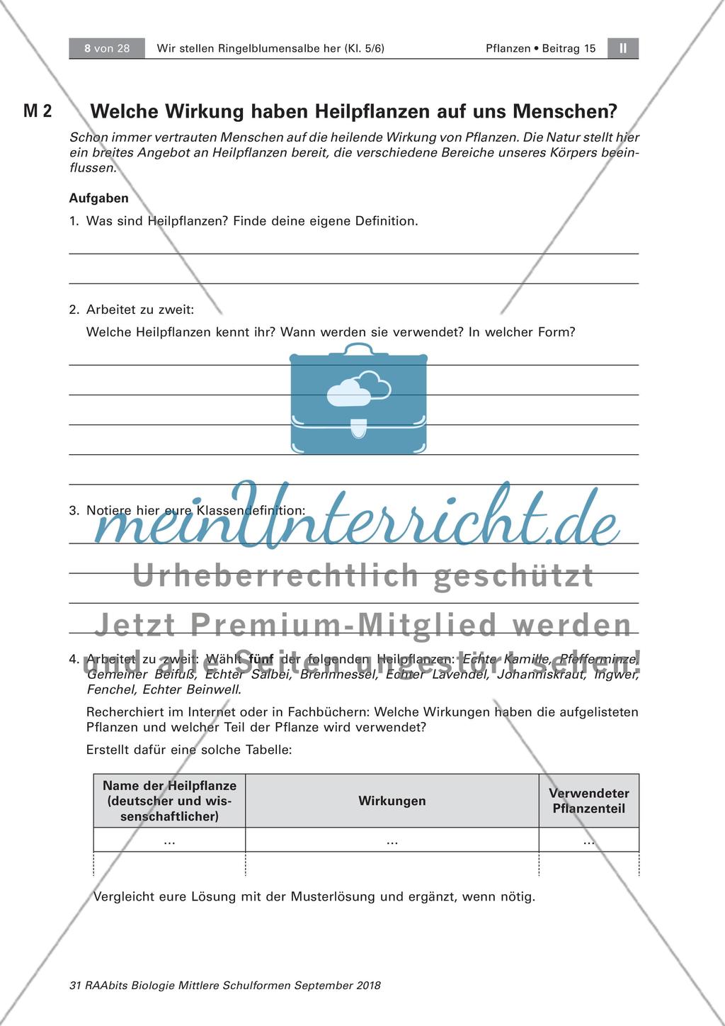 Heilpflanzen: Aufbau von Blütenpflanzen, Ringelblume Preview 2