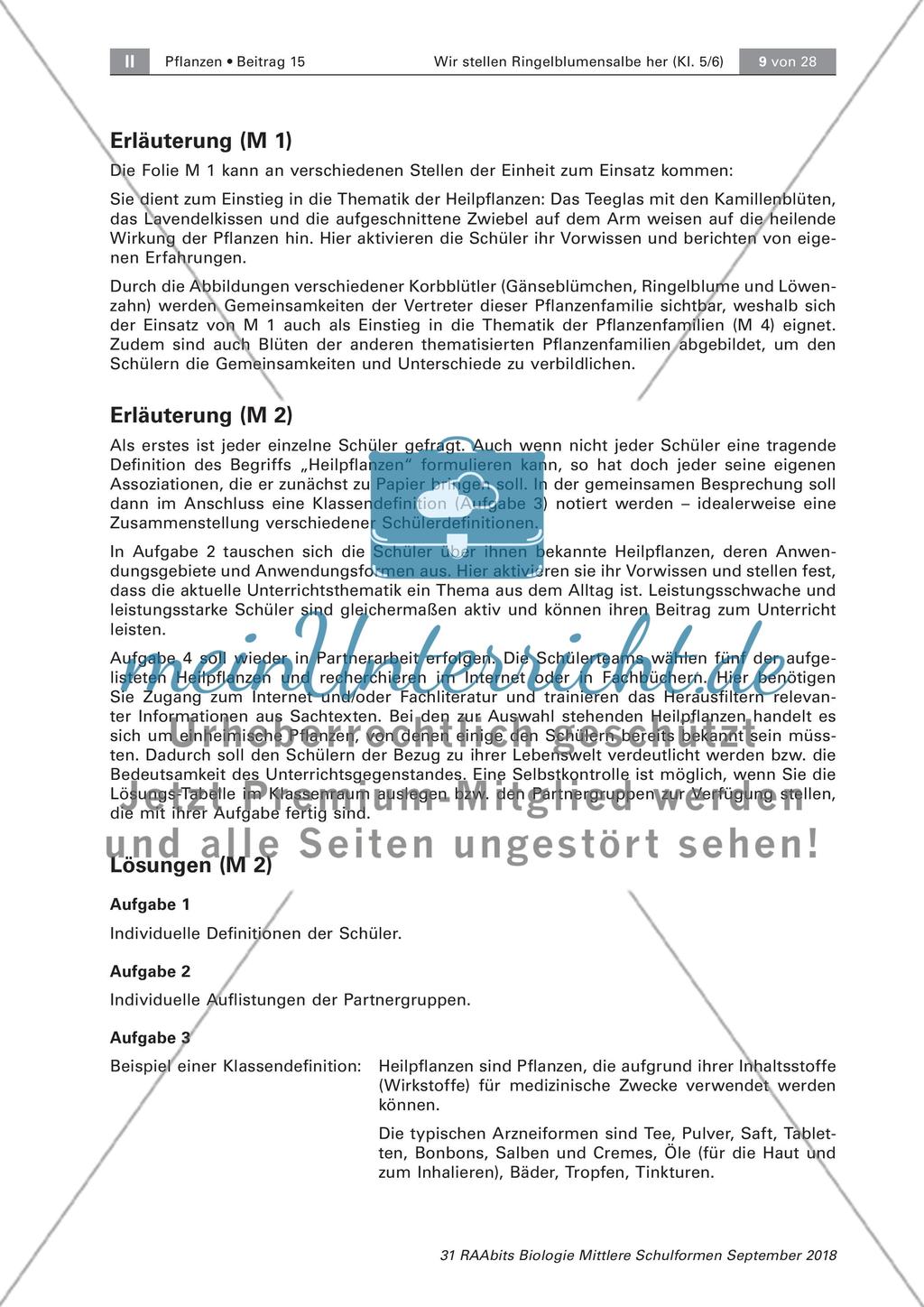 Heilpflanzen: Aufbau von Blütenpflanzen, Ringelblume Preview 3