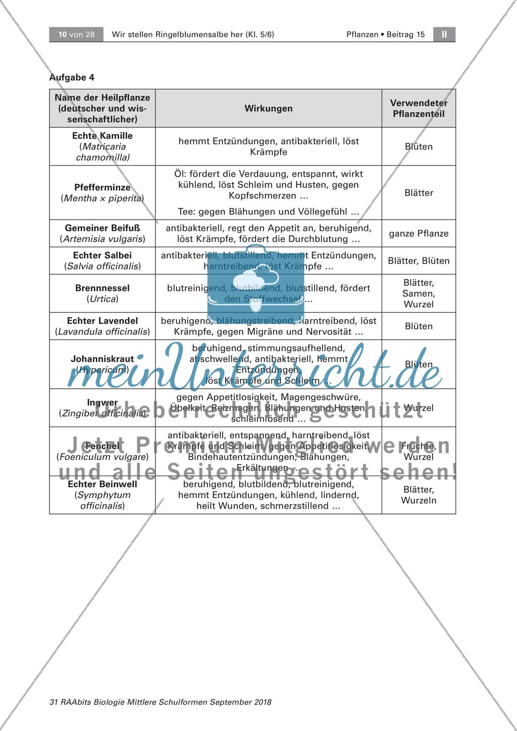 Heilpflanzen: Aufbau von Blütenpflanzen, Ringelblume Preview 4