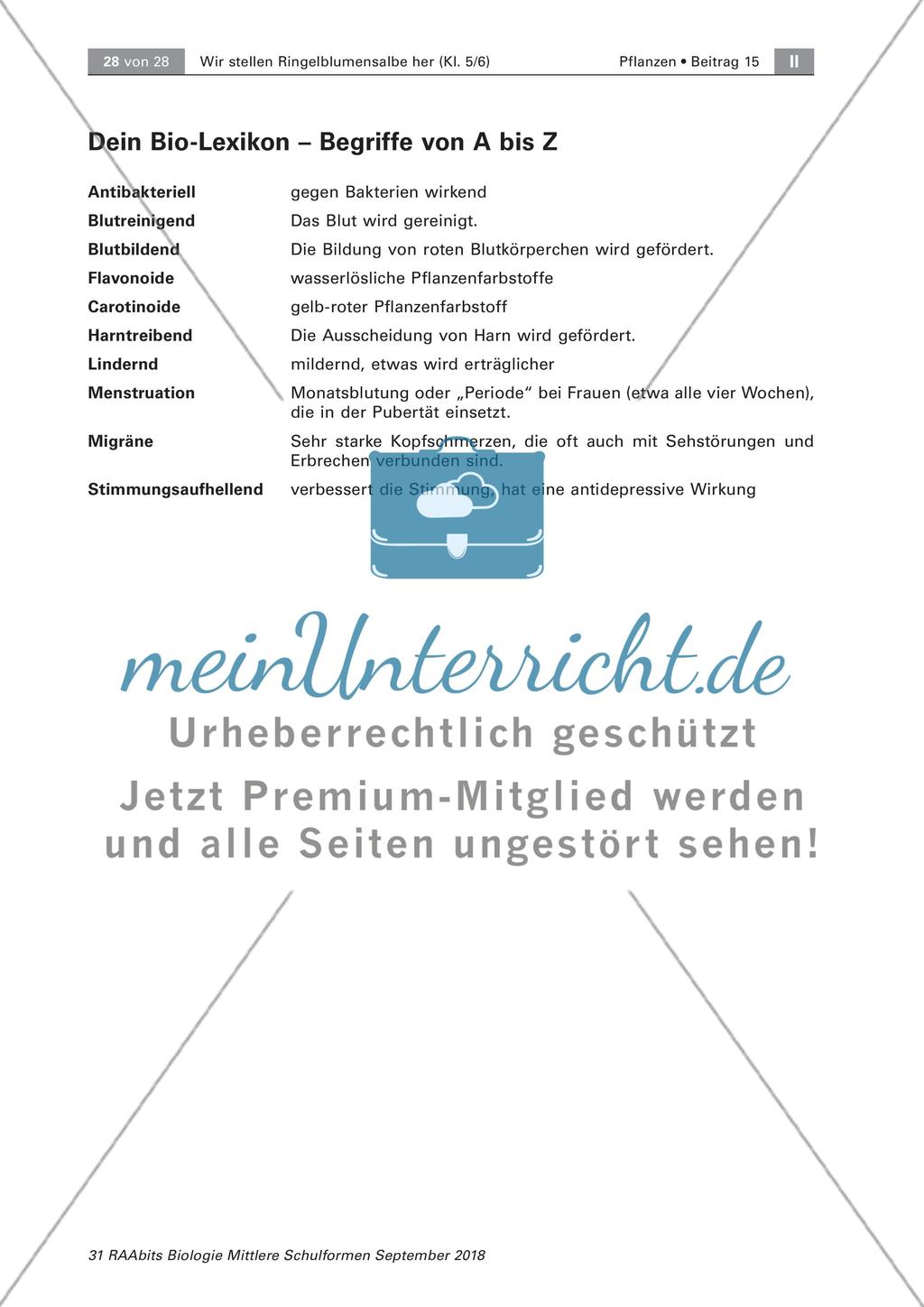 Heilpflanzen: Herstellen von Ringelblumensalbe und -öl, Preview 11