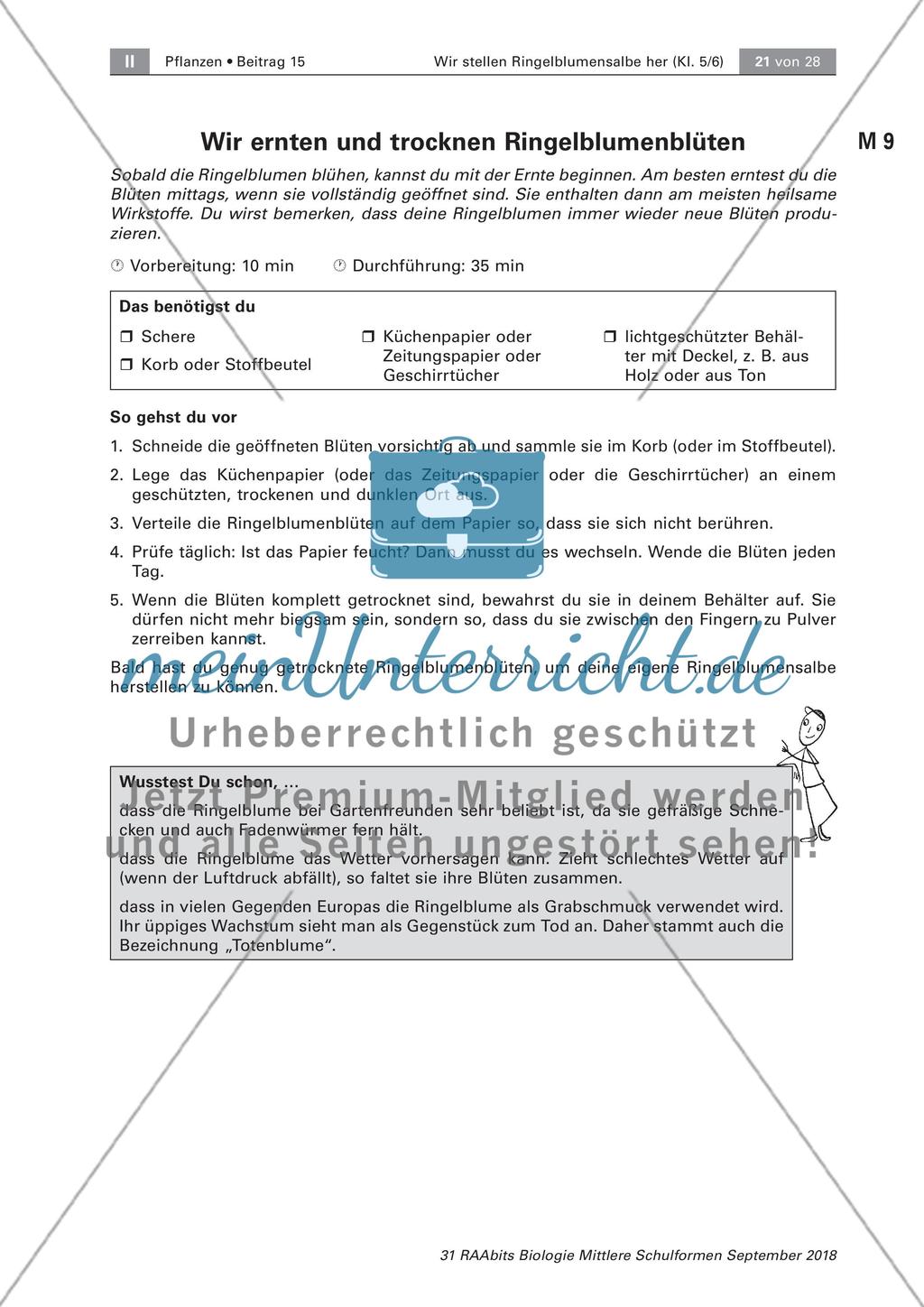 Heilpflanzen: Herstellen von Ringelblumensalbe und -öl, Preview 4