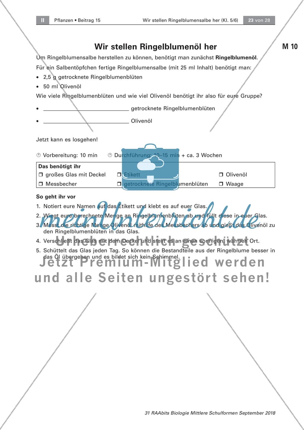 Heilpflanzen: Herstellen von Ringelblumensalbe und -öl, Preview 6