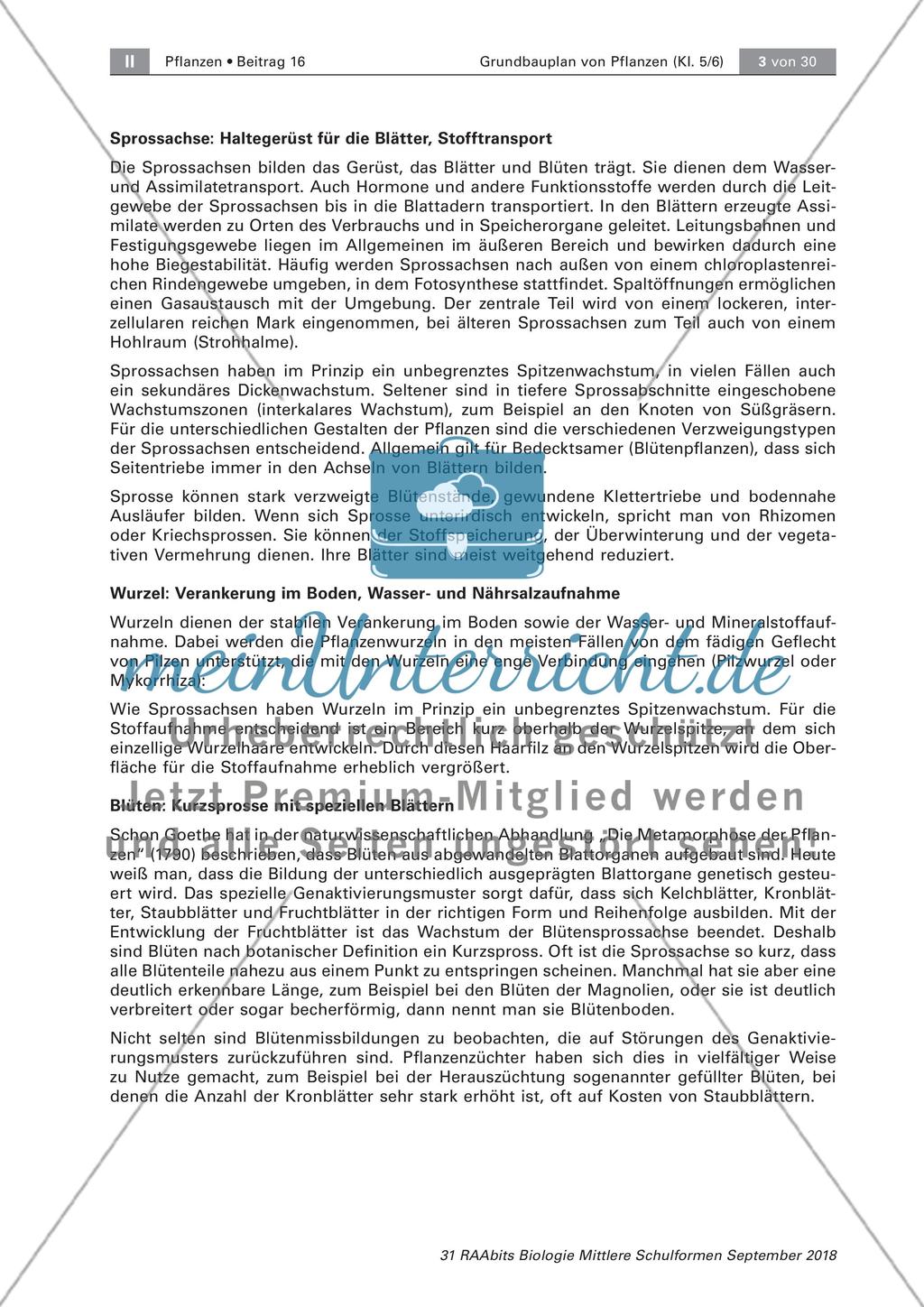Einführung Preview 3