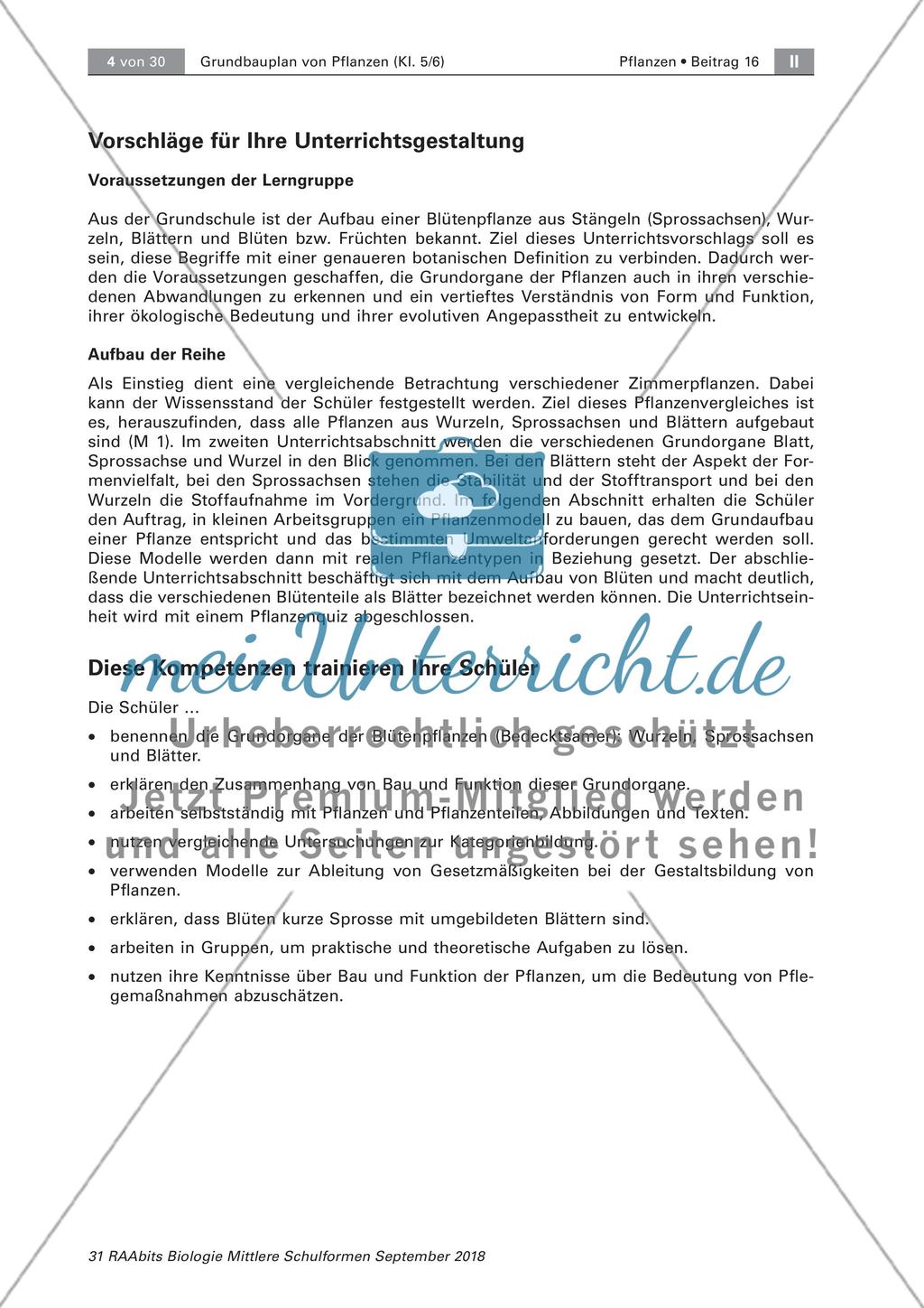 Einführung Preview 4