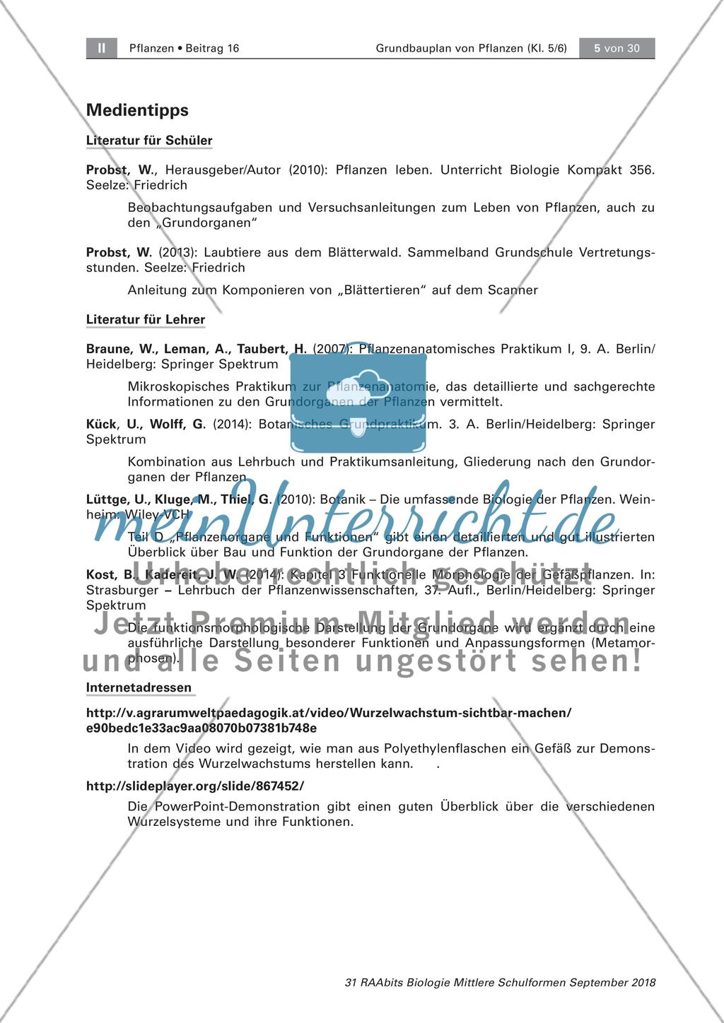 Einführung Preview 5